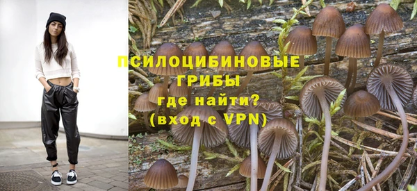 дурь Балахна