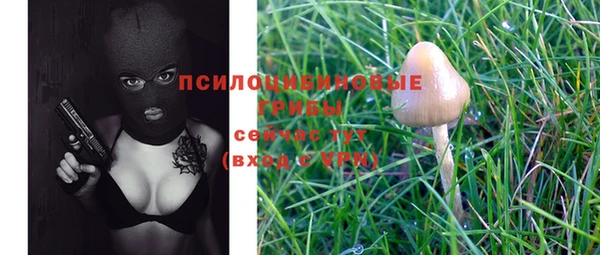 ПСИЛОЦИБИНОВЫЕ ГРИБЫ Баксан