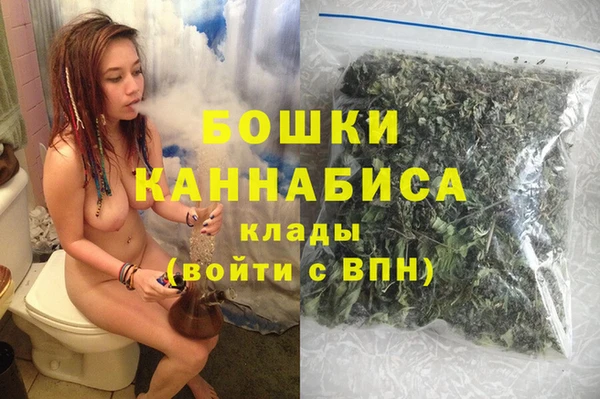 гидропоника Рославль