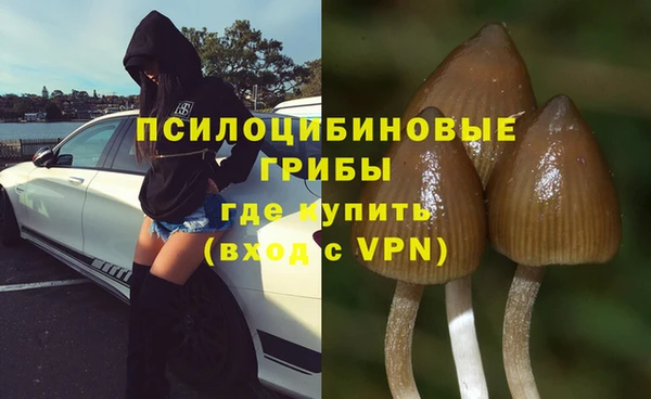 ПСИЛОЦИБИНОВЫЕ ГРИБЫ Баксан